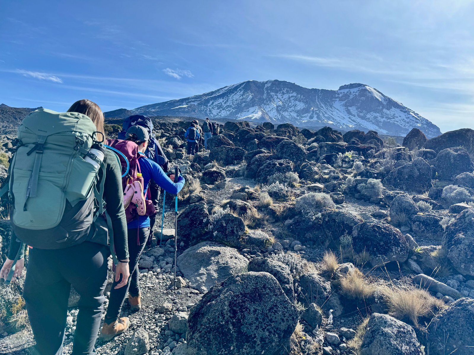 Africa Prime Experiences