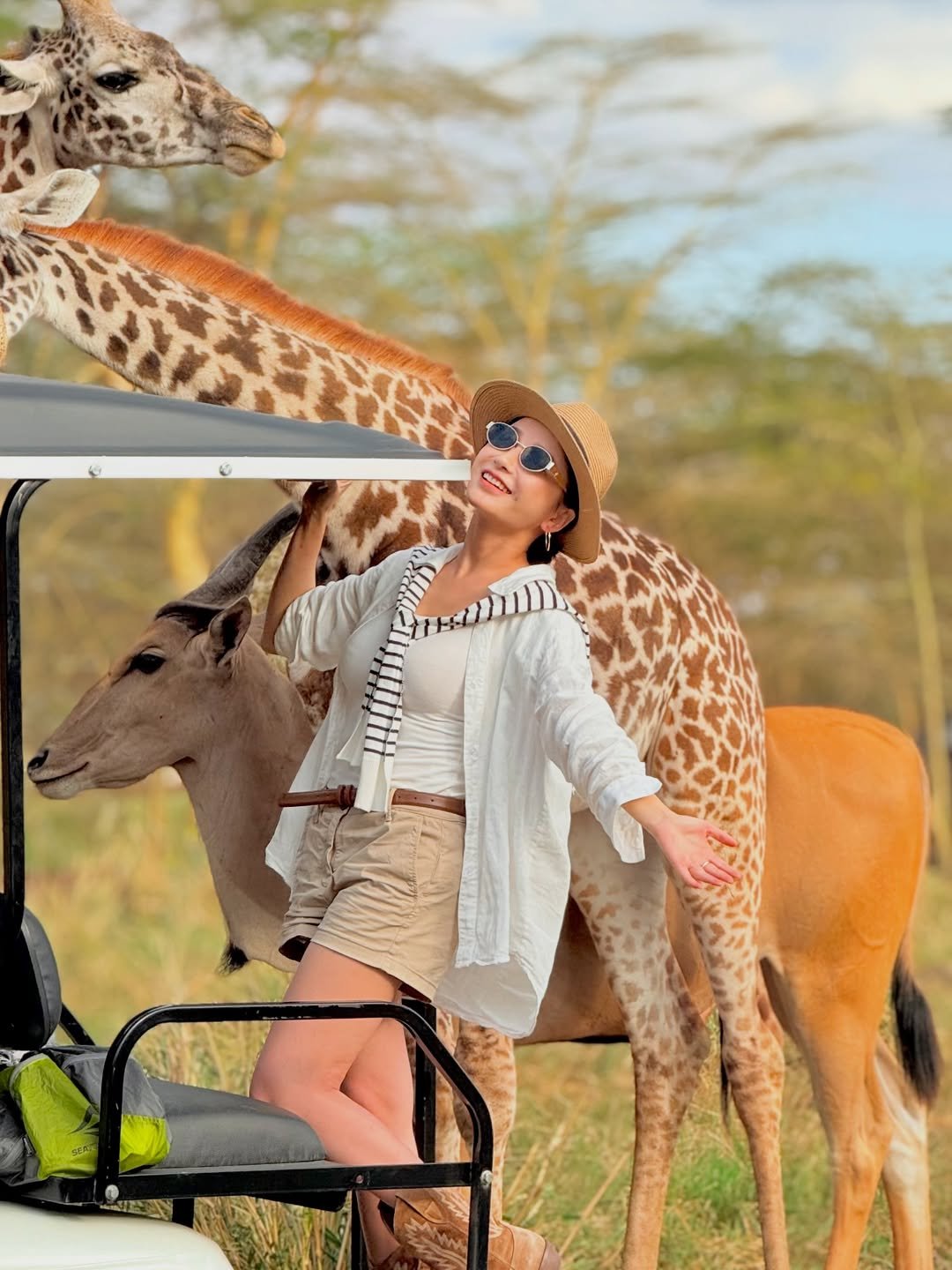 Safari Experience