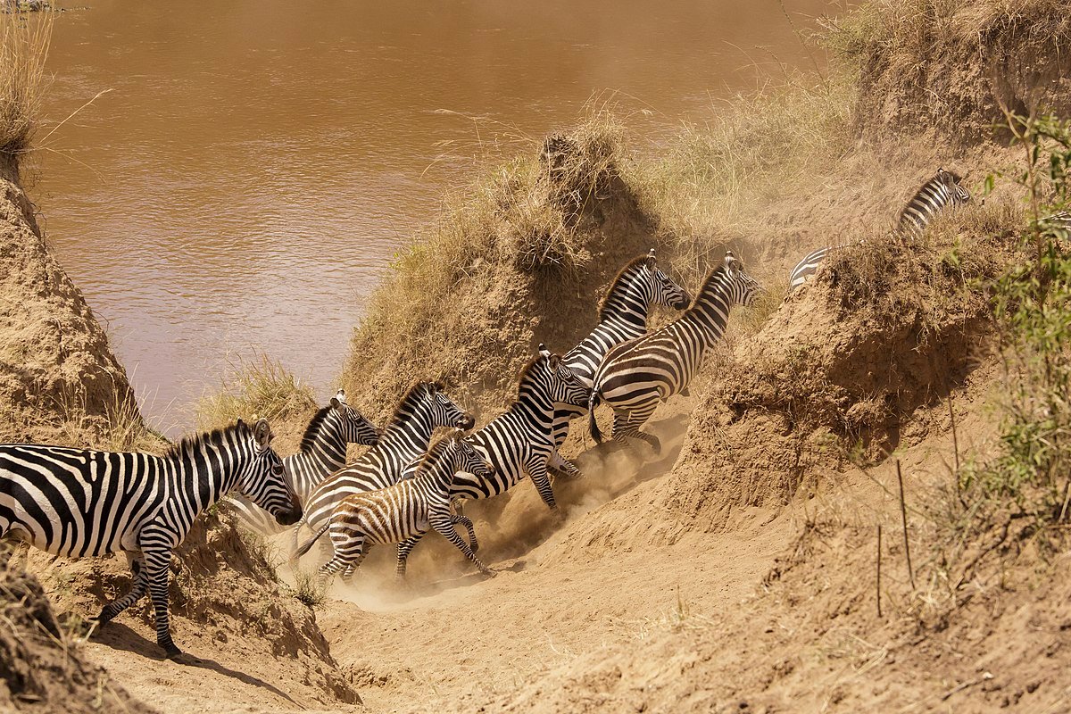 3 days Tanzania Adventure Safari
