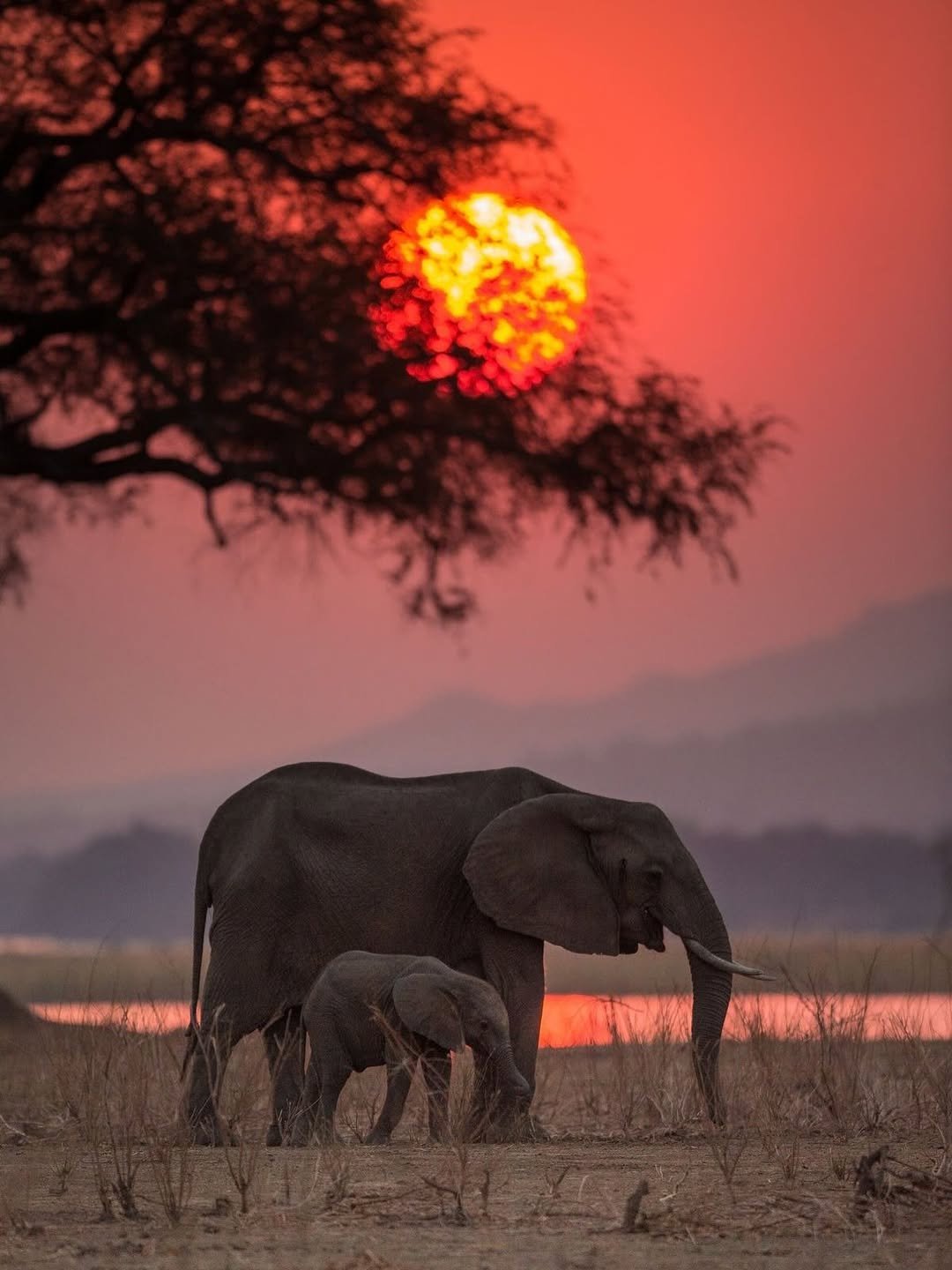 Ngorongoro Day Trip Safaris Itinerary