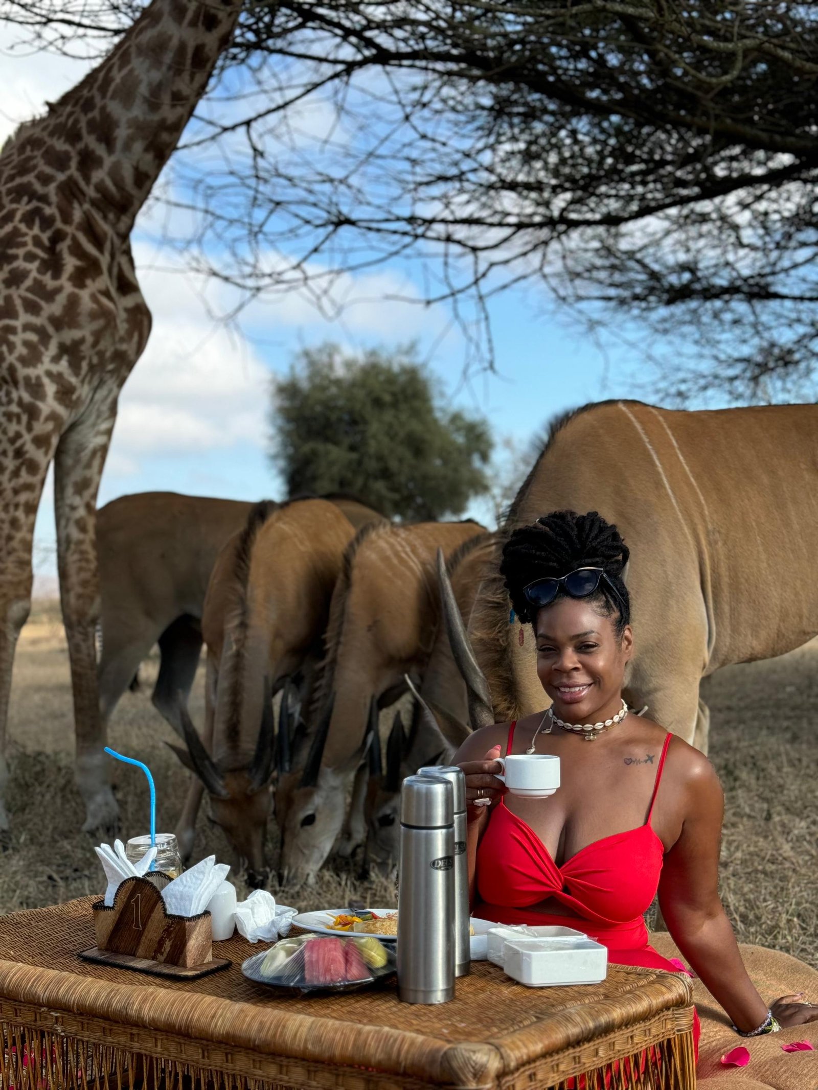 Serengeti Fly-in Safari Express