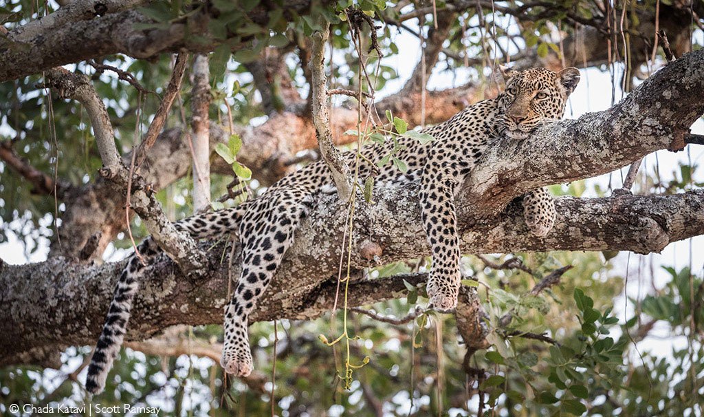 Katavi National Park